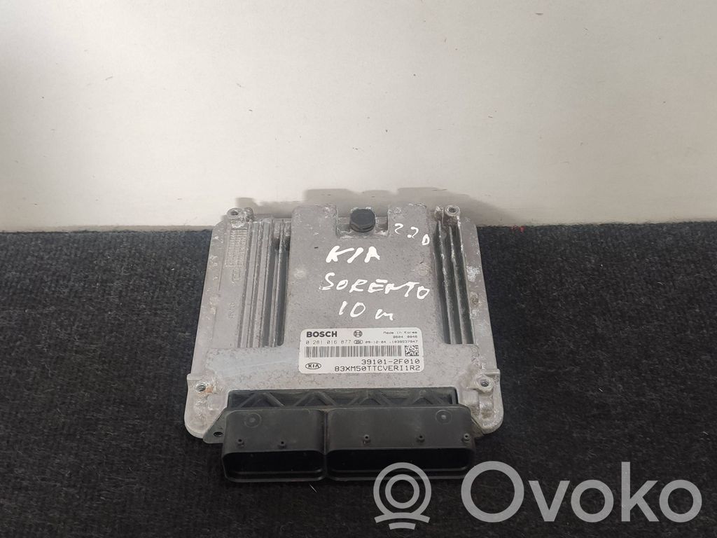 Engine control unit/module   0281016877,391012F010,1039S37847
