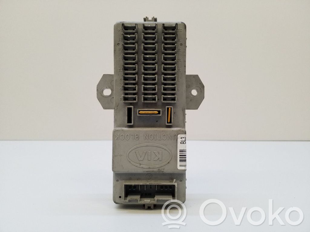 KIA Sorento Fuse module 