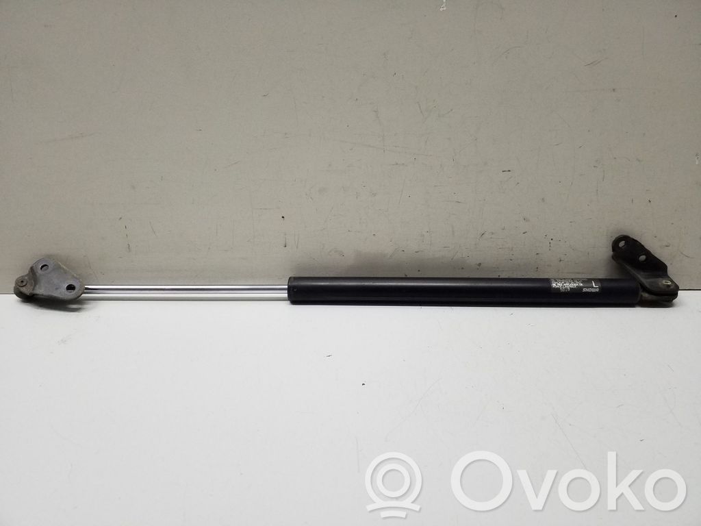 Tailgate/trunk strut/damper   5J19