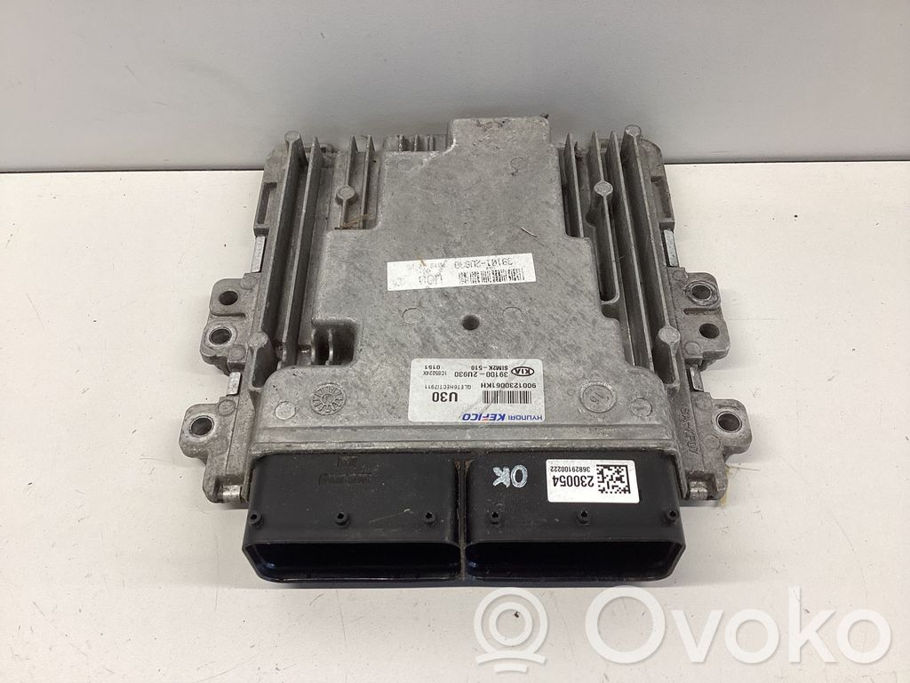Engine control unit/module   391002U930,9001230061KH,1C85024X,S1M2K510