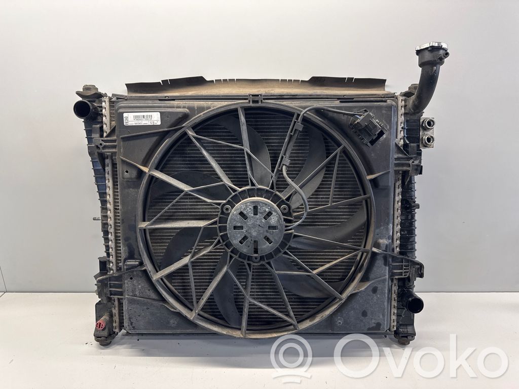 Dodge Durango III Radiator set 