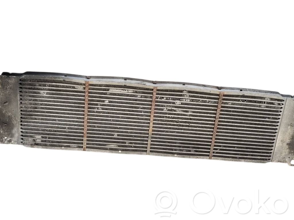 Volkswagen Transporter - Caravelle T5 Interkūlerio radiatorius 