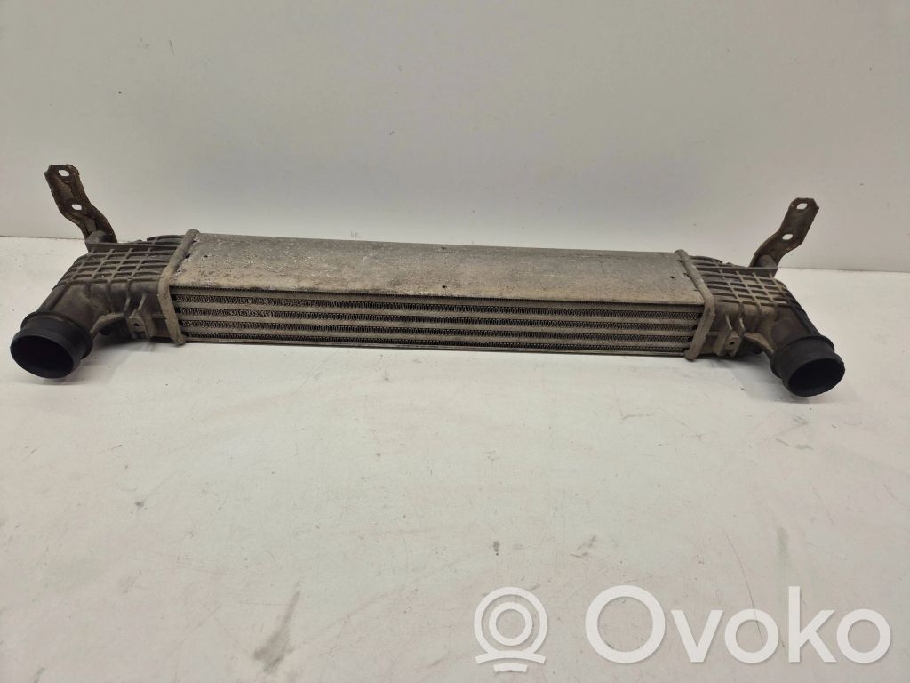 Seat Alhambra (Mk1) Intercooler radiator 