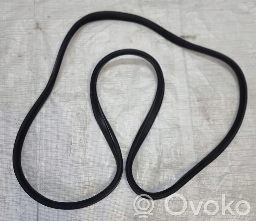 Ford S-MAX Front door rubber seal 