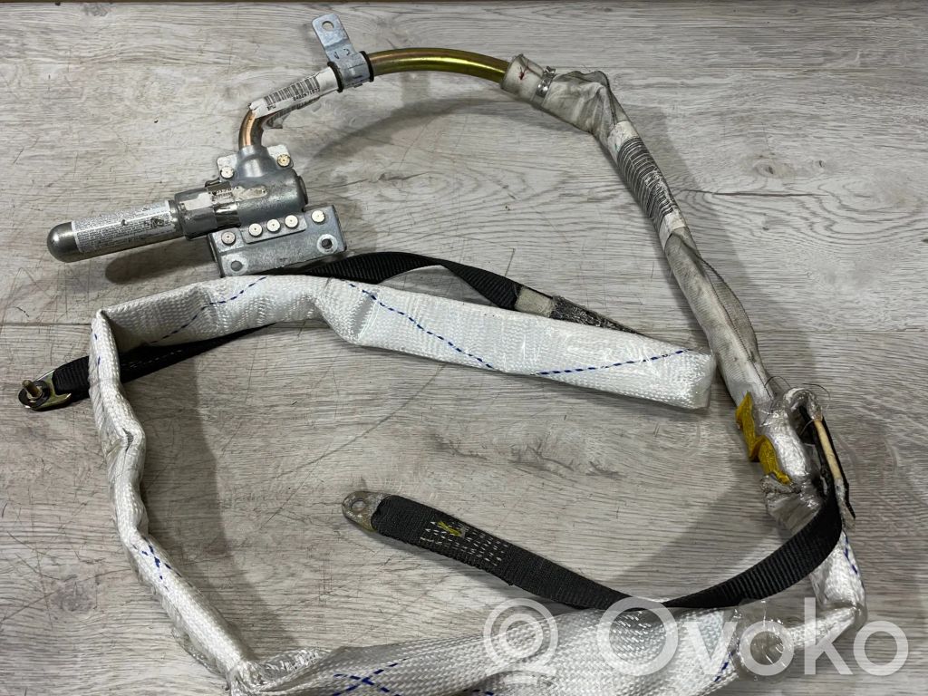 BMW X5 E53 Airbag del techo 