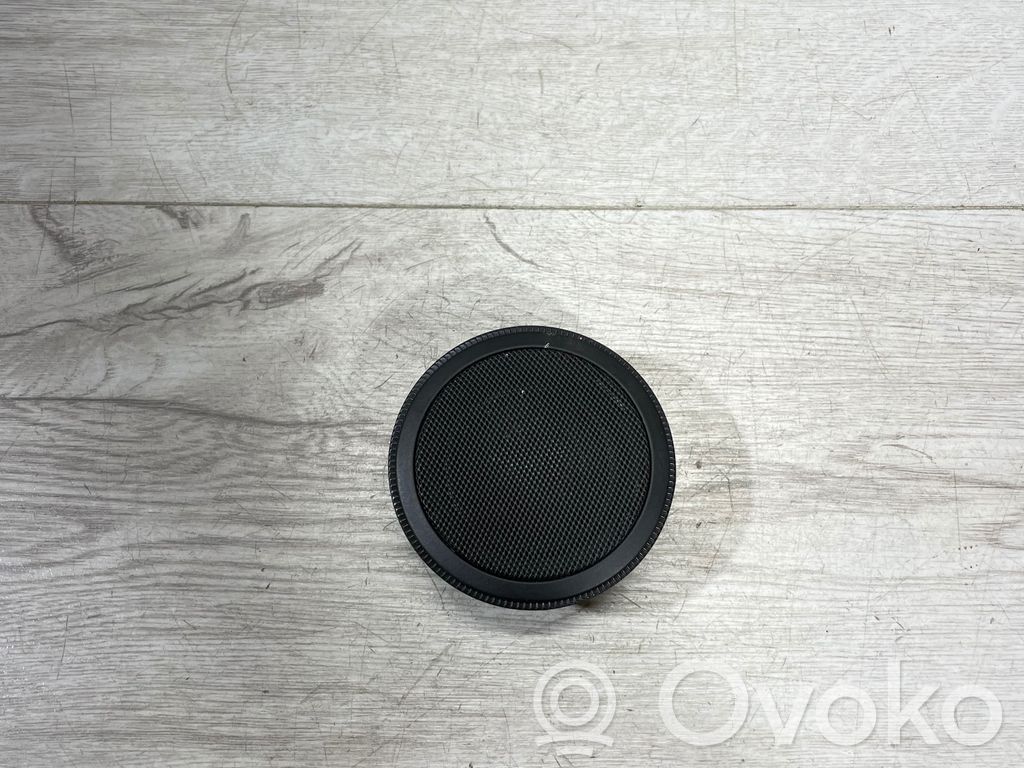 Panel speaker   8375642,2247138,61928910