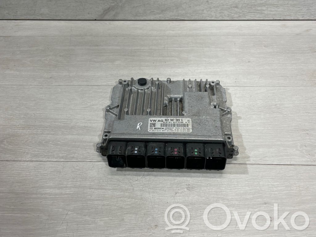 Engine control unit/module   06M907309G,0261S18084