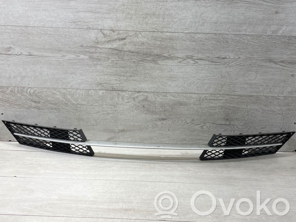 Front bumper splitter molding   7178096