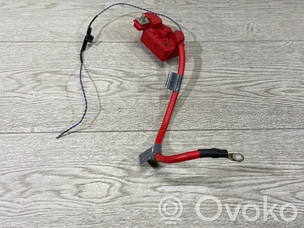BMW 1 E82 E88 Positive cable (battery) 