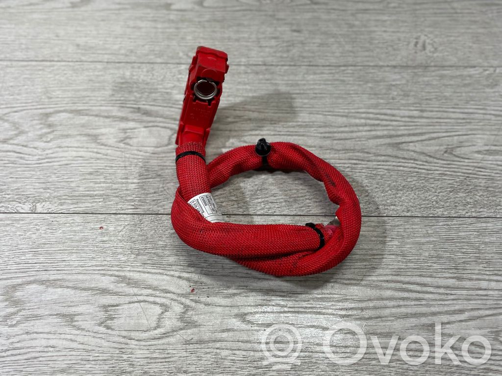 BMW X3 G01 Positive cable (battery) 
