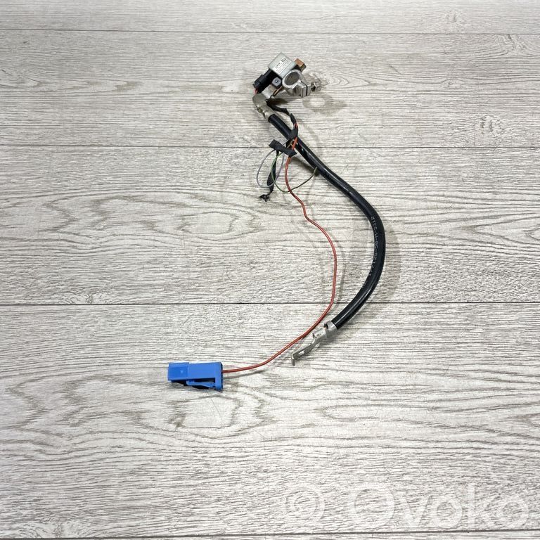 BMW X1 E84 Cablu cu bornă negativă (baterie) 