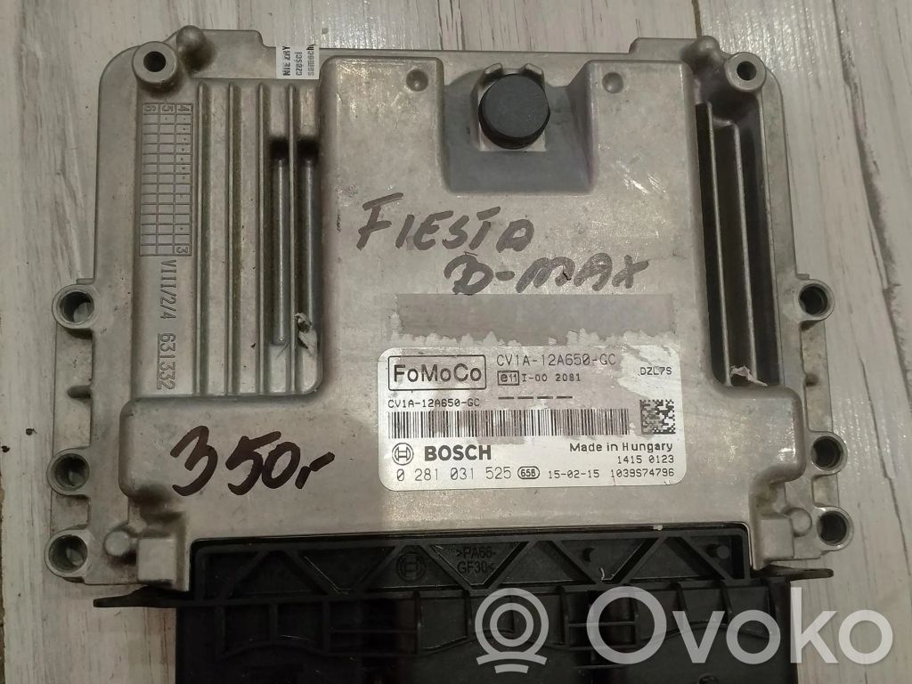 Unité de commande, module ECU de moteur   0281031525