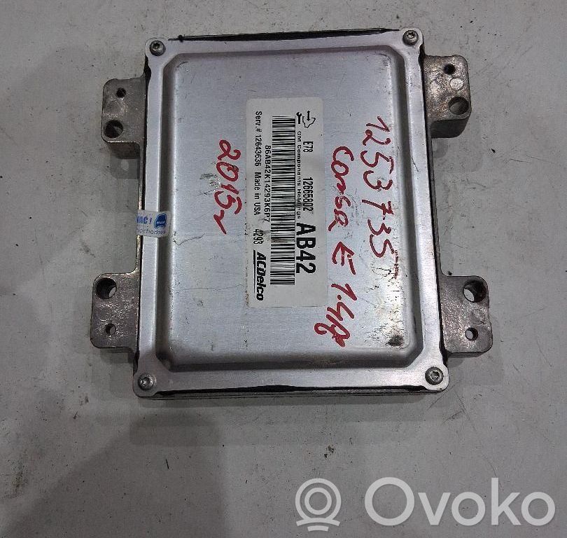 Engine control unit/module ECU   12665802,12665802,AB42