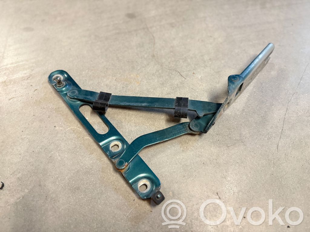 Tailgate/trunk/boot hinge