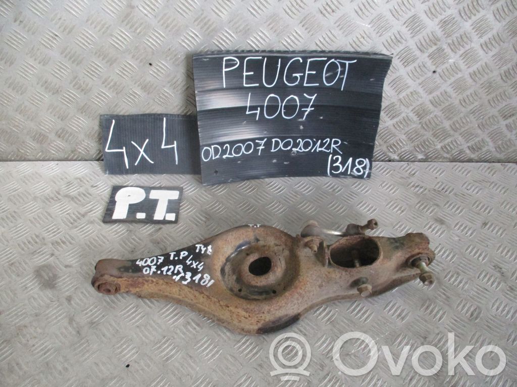 Peugeot 407 Rear control arm 