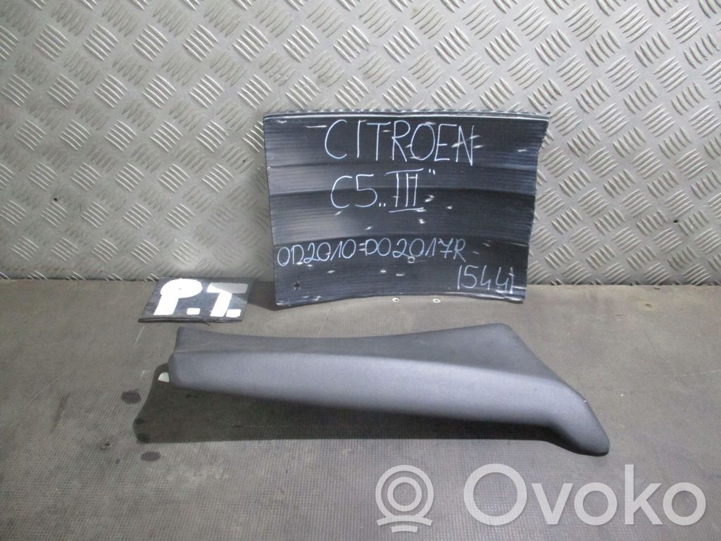 Citroen C5 Moldura embellecedora 