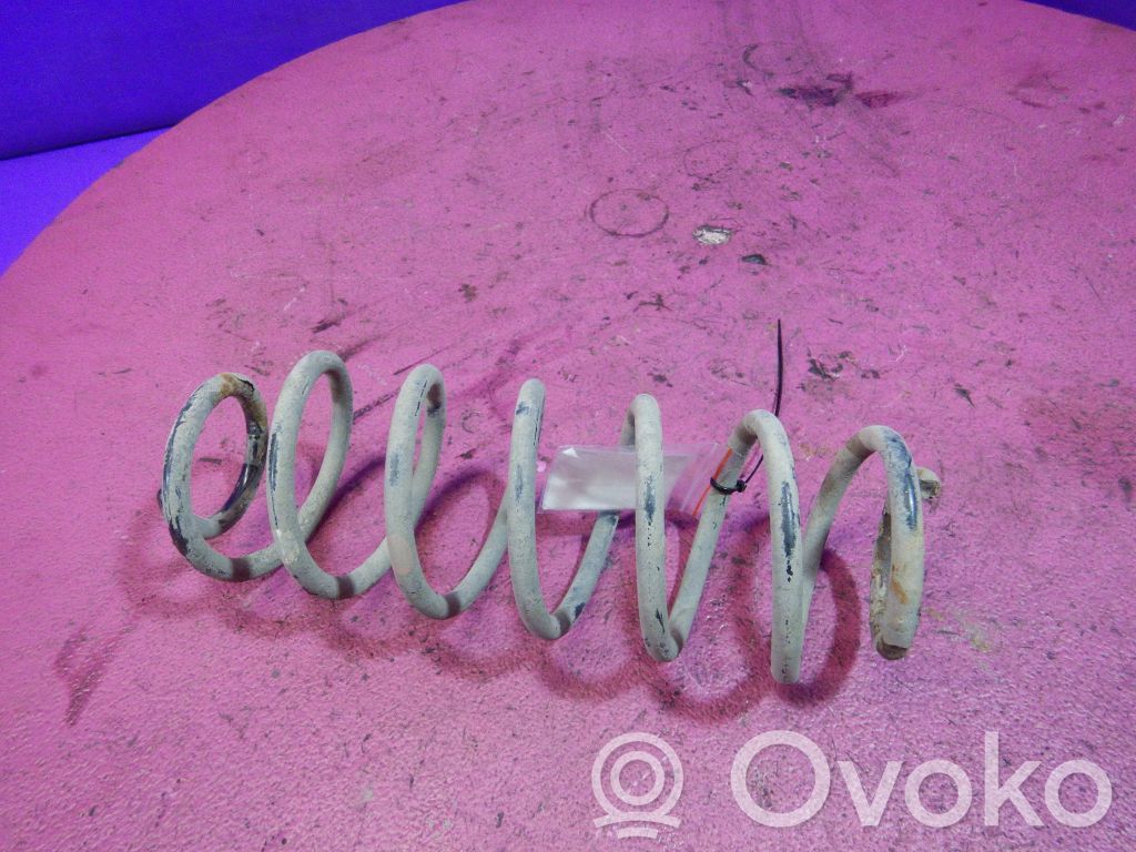Muelle espiral trasero