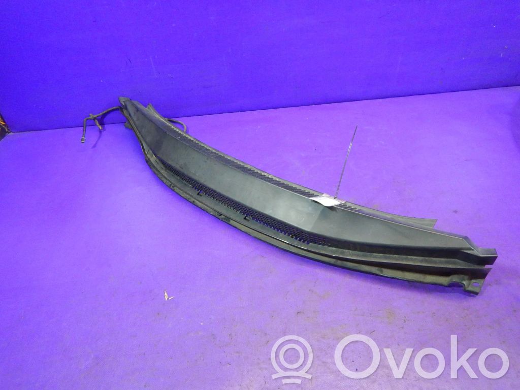 Moldura del limpia