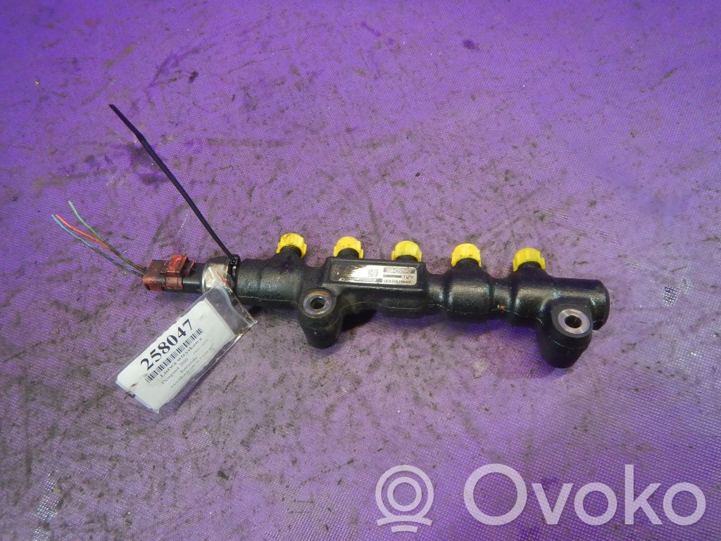 Peugeot 206 Rampă alimentare injectoare 