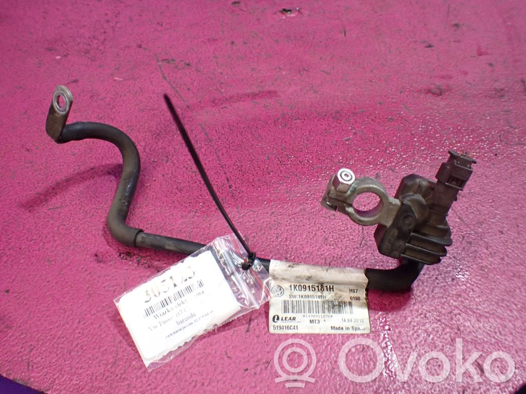 Volkswagen PASSAT CC Cablaj motor
