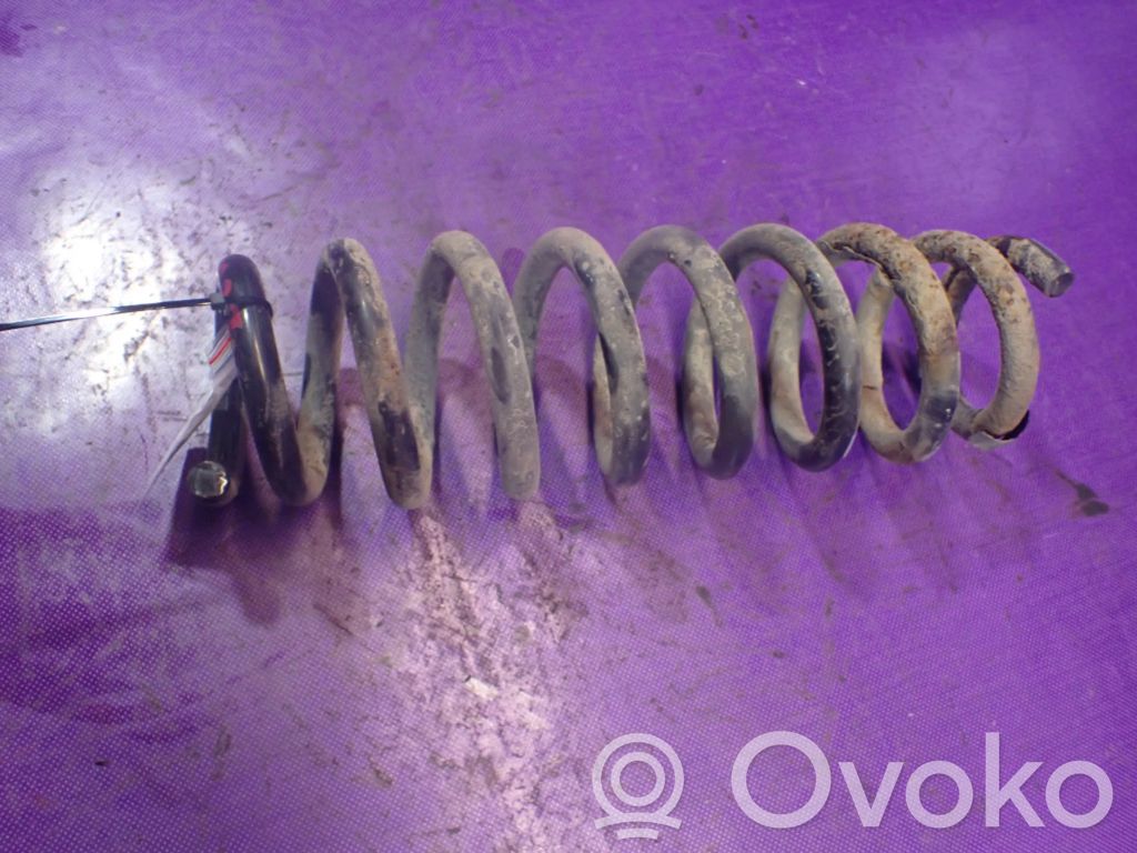 Rear coil spring