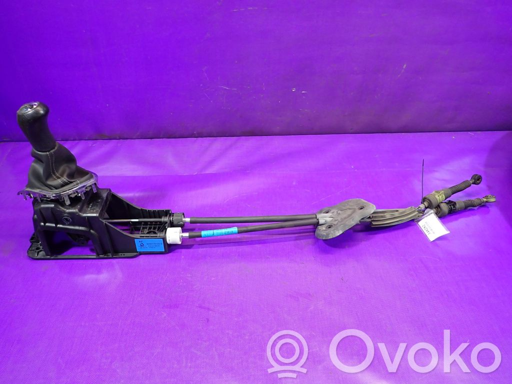 Gato   8200779125G,8200779125G