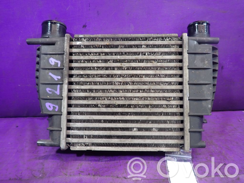 Renault Clio III Refroidisseur intermédiaire 