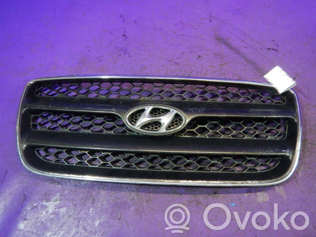 Hyundai Santa Fe Etusäleikkö 