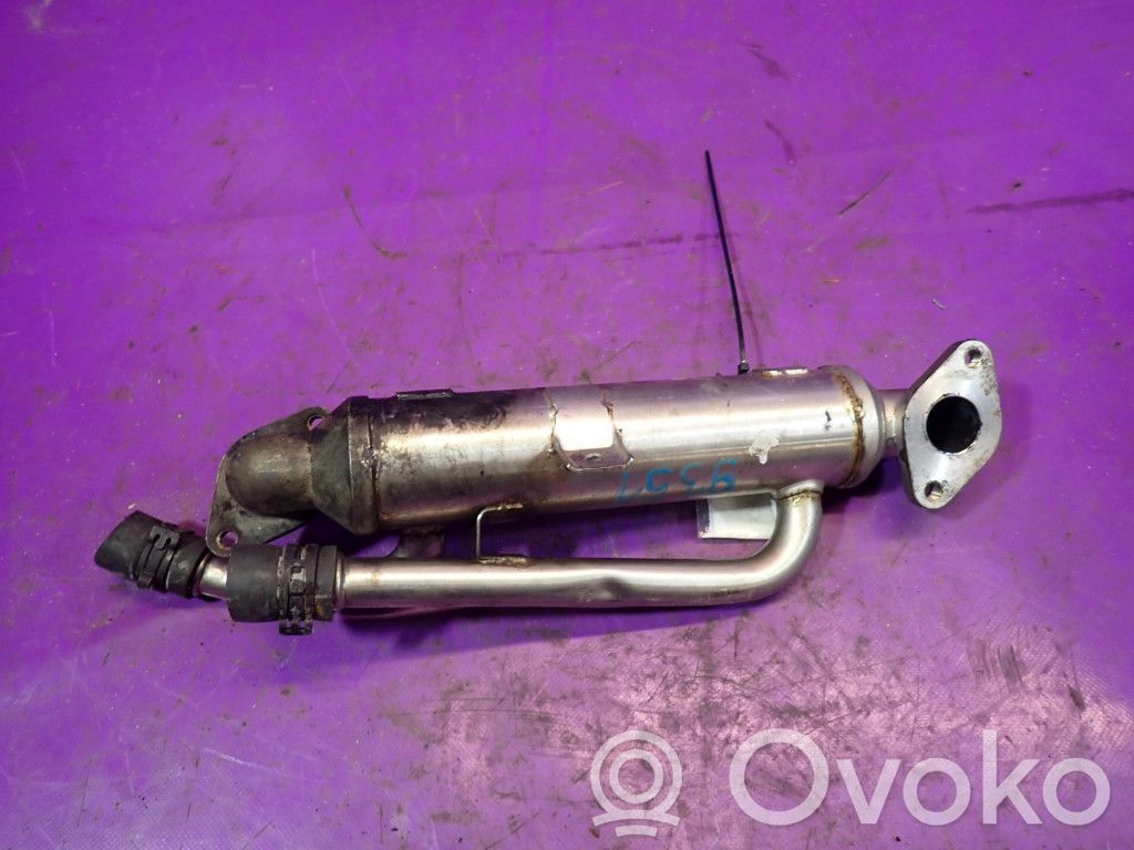 Audi A4 S4 B6 8E 8H Răcitor supapă EGR