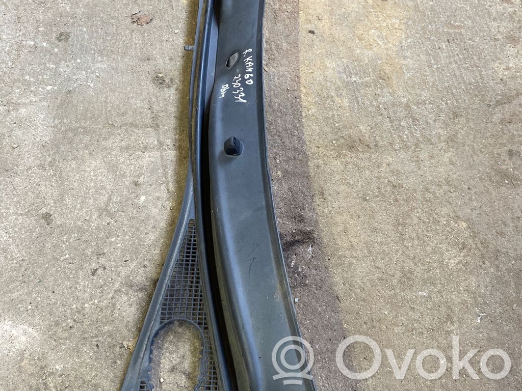 Wiper trim