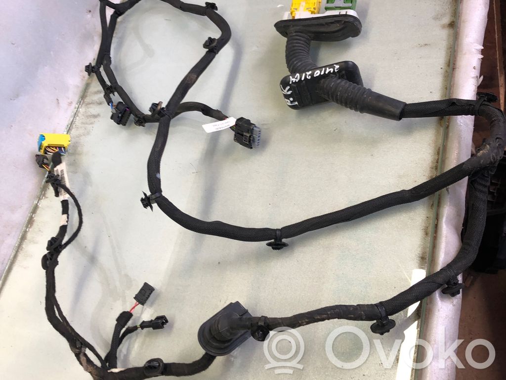 Citroen C4 III e-C4 Cableado de puerta delantera 