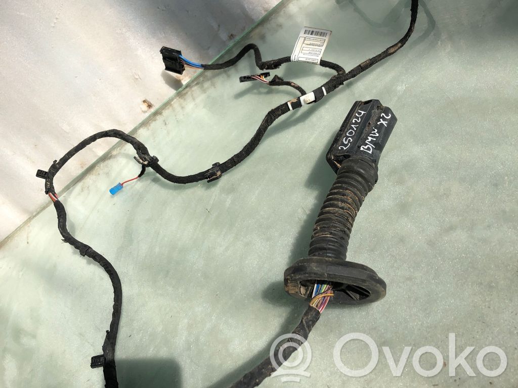BMW X2 U10 Cableado de puerta trasera 