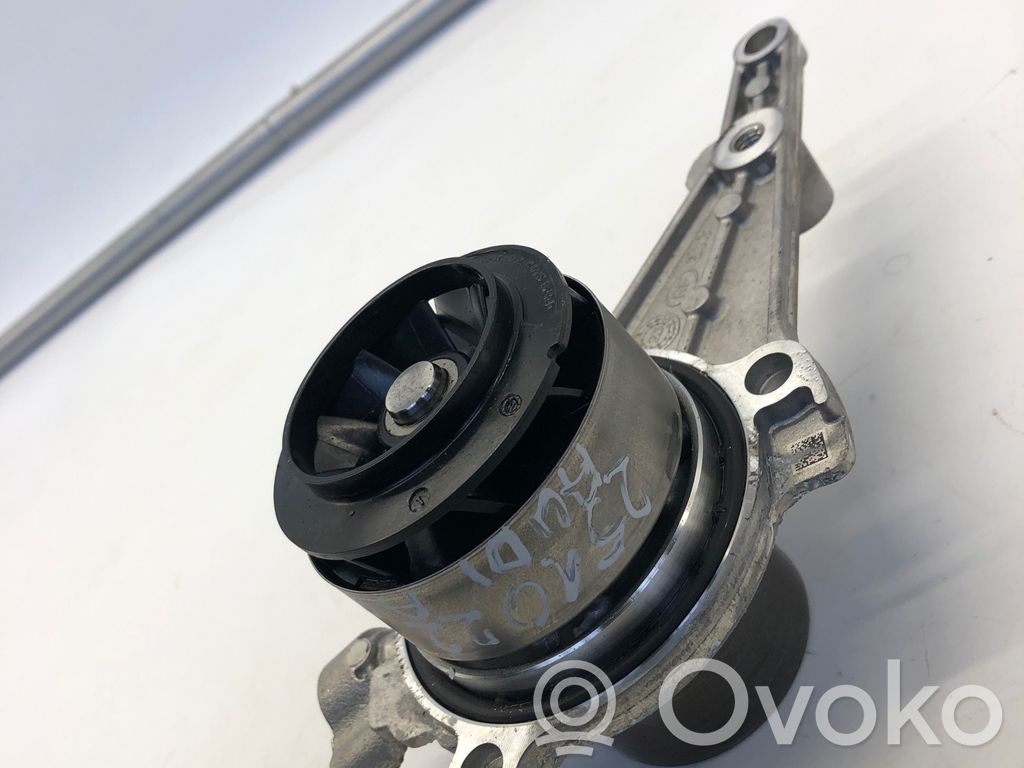 Vandens pompa   010220802RT