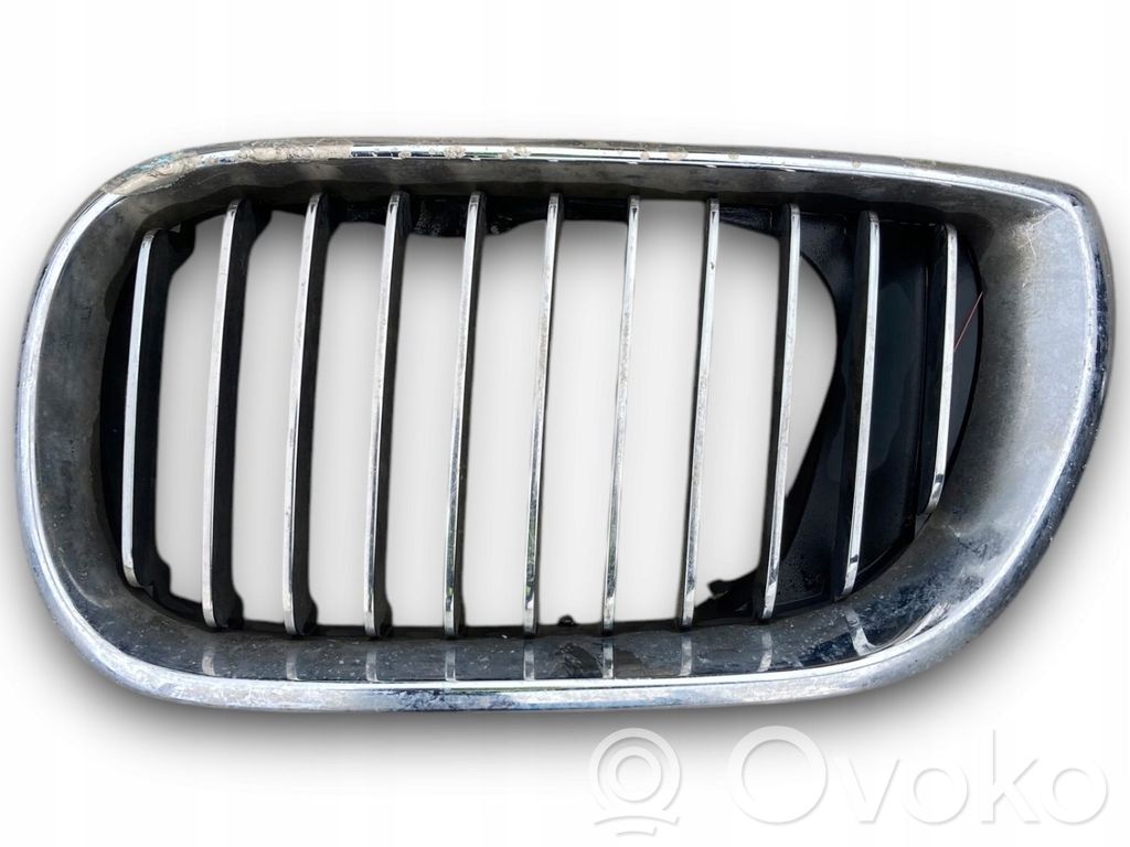 Kühlergrill   7030549