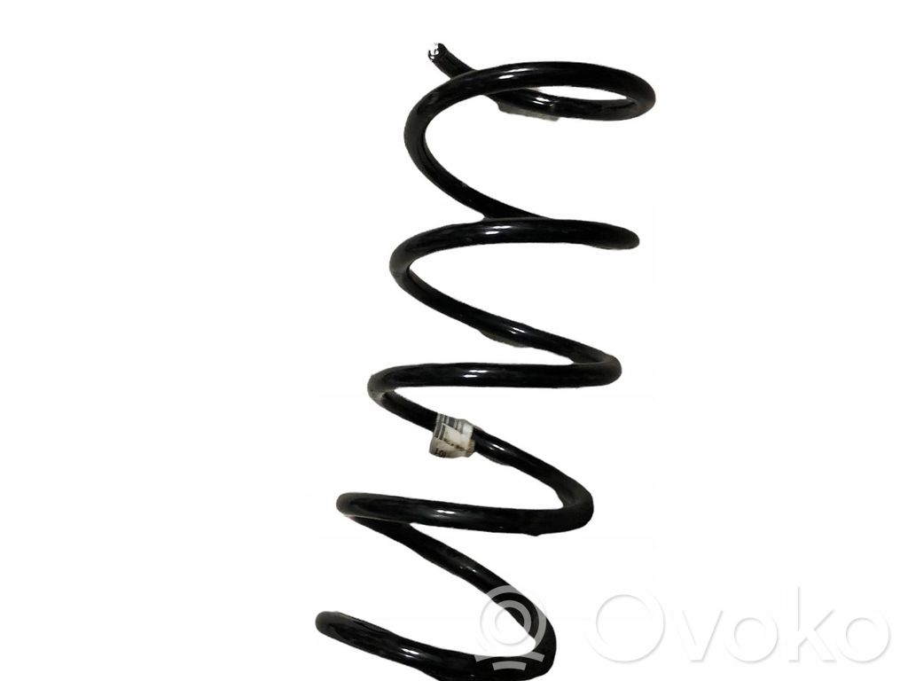 Rear shock absorber with coil spring