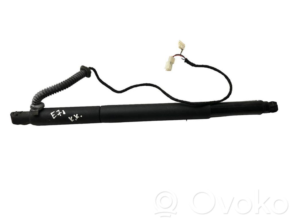 Tailgate/trunk strut/damper   4887654,1052778,712028305
