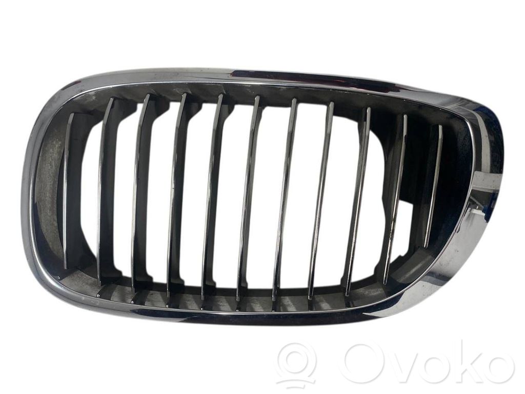 BMW 3 E46 Front grill 