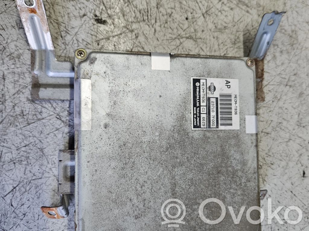 Nissan Terrano Engine control unit/module 