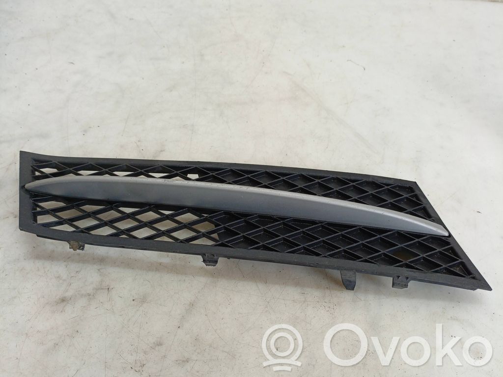 BMW 5 F10 F11 Front bumper lower grill 