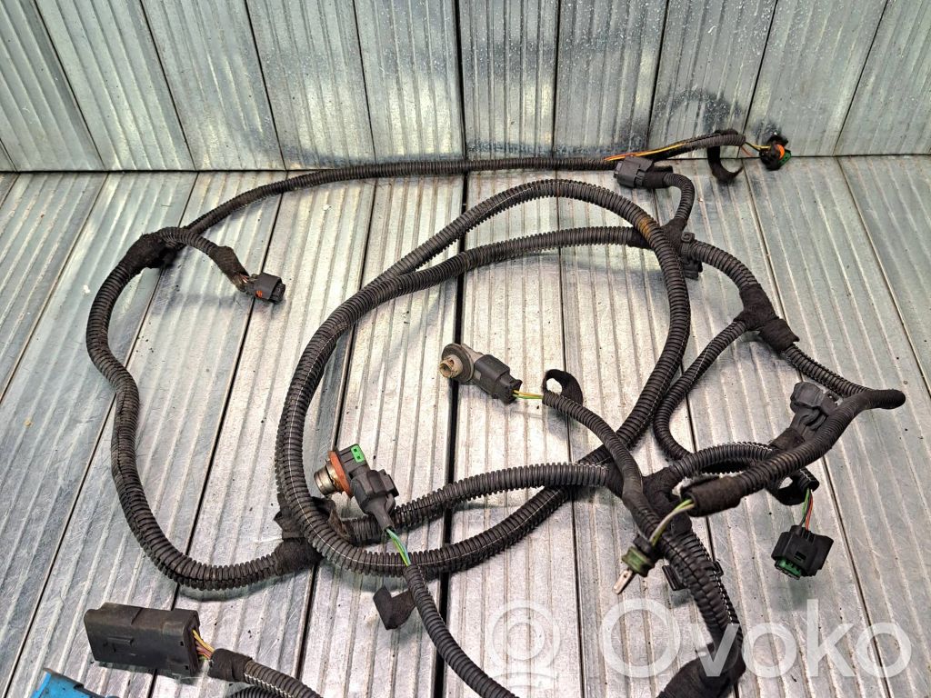 Citroen DS5 Otros cableados 