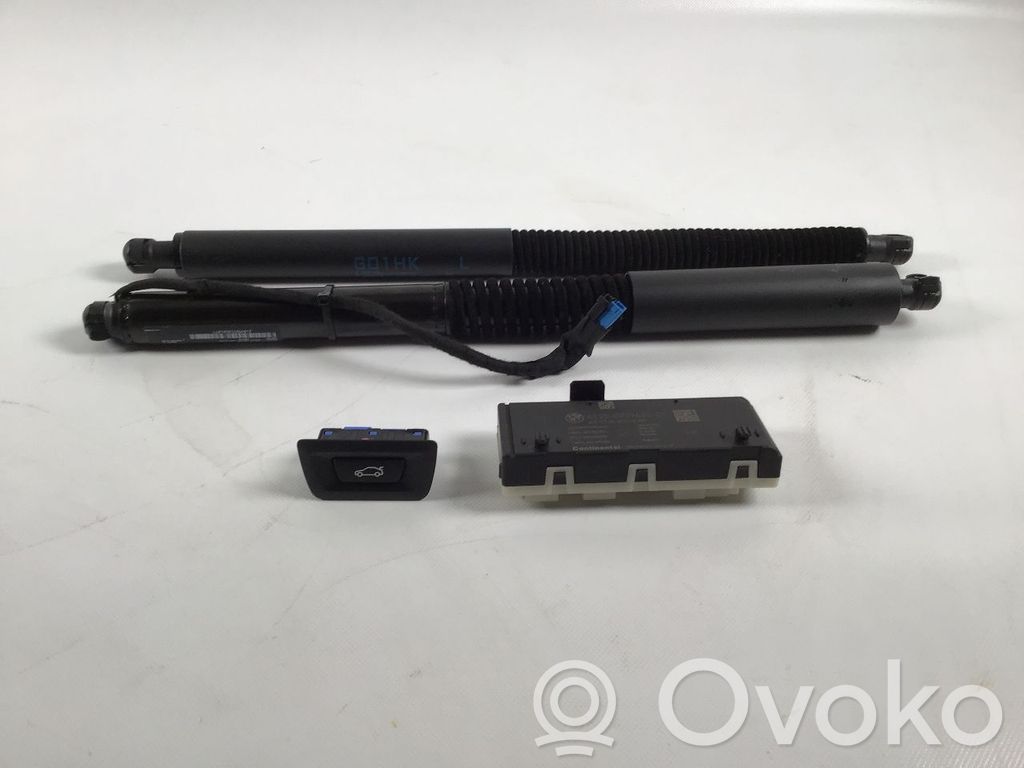 BMW X3 G01 Kit idraulico del portellone posteriore 