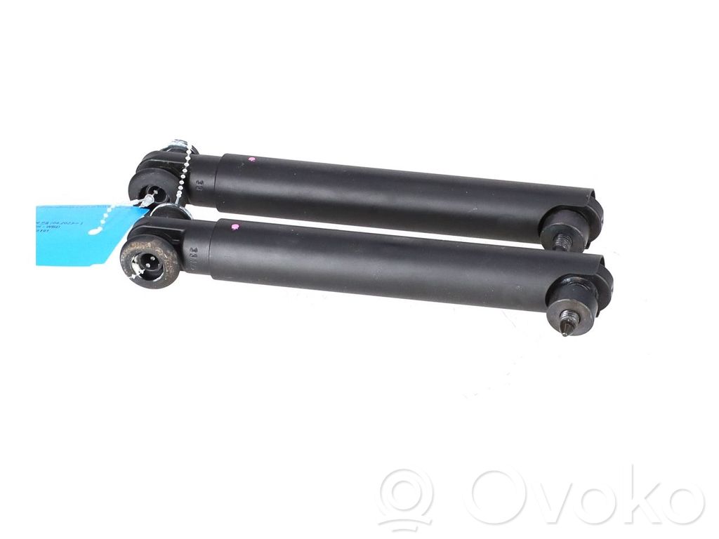 BMW X5 G05 Ammortizzatore portellone posteriore/bagagliaio