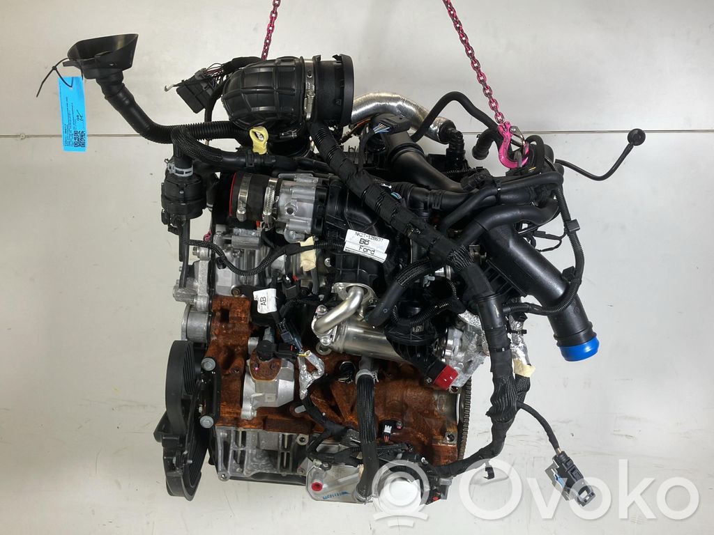 Motor   2365401
