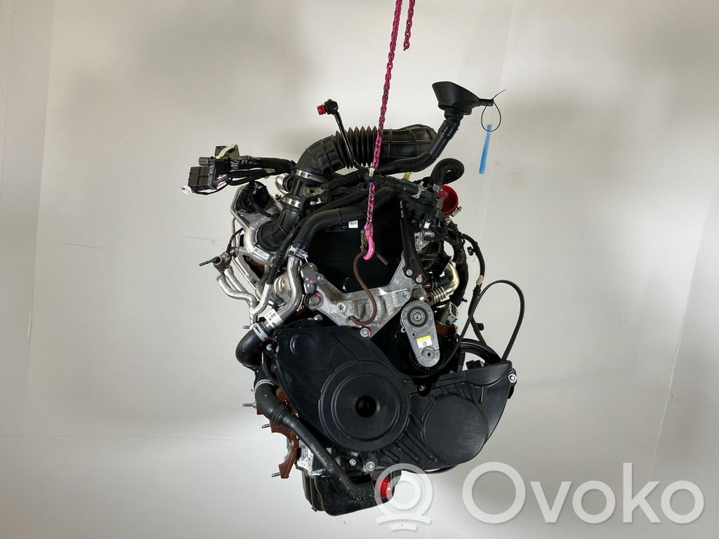 Motor   2365401