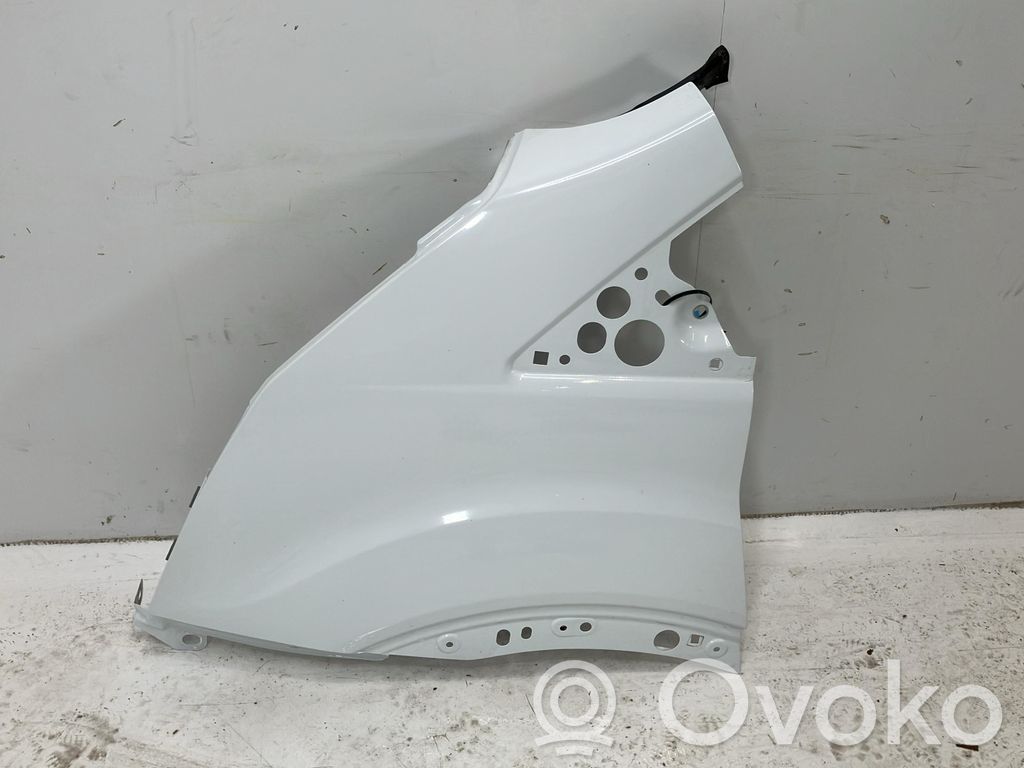 Guardabarro   2203290