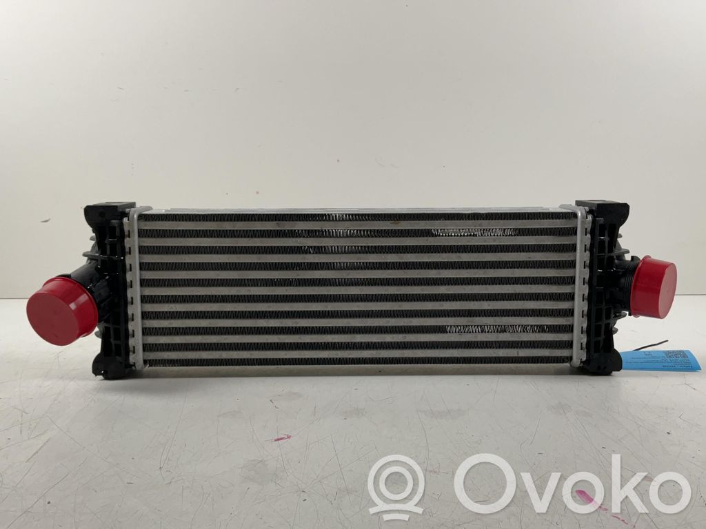 Intercooler radiator   2146189