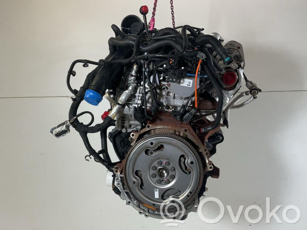 Motor   2365401