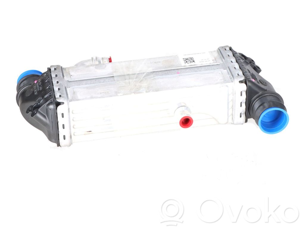 Peugeot Expert Radiatore intercooler 