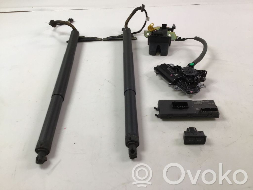 Volkswagen Arteon Kit idraulico del portellone posteriore 