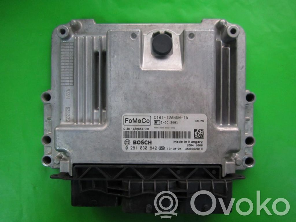 Galios (ECU) modulis   C1B112A650TA,0281030842